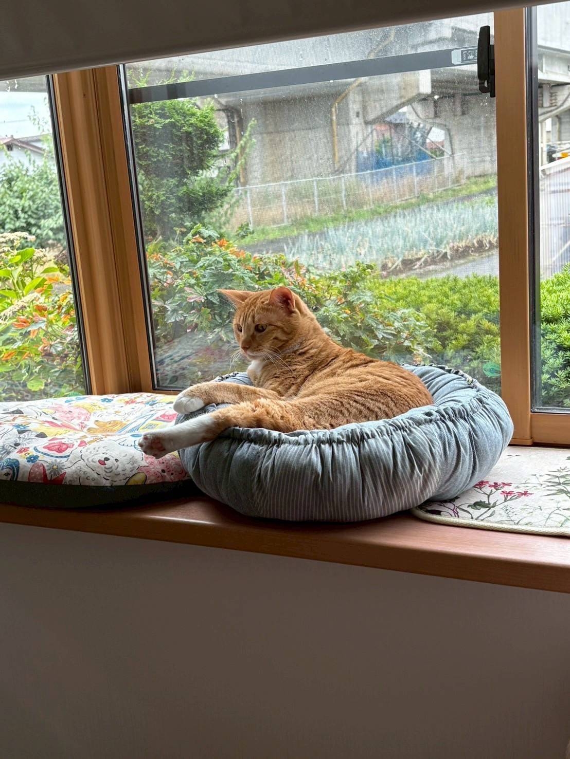 https://www.takayo.jp/cmb/484915_0.jpg